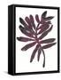 Foliage Fossil III-June Vess-Framed Stretched Canvas