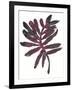 Foliage Fossil III-June Vess-Framed Art Print