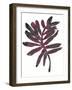 Foliage Fossil III-June Vess-Framed Art Print