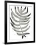 Foliage Fossil IV-June Vess-Framed Art Print