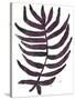 Foliage Fossil VI-June Vess-Stretched Canvas