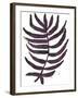 Foliage Fossil VI-June Vess-Framed Art Print