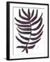 Foliage Fossil VI-June Vess-Framed Art Print