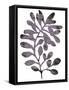 Foliage Fossil VIII-June Vess-Framed Stretched Canvas