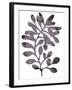 Foliage Fossil VIII-June Vess-Framed Art Print