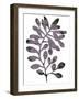 Foliage Fossil VIII-June Vess-Framed Art Print