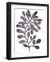 Foliage Fossil VIII-June Vess-Framed Art Print