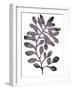 Foliage Fossil VIII-June Vess-Framed Art Print