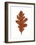 Foliage Fun I-Laura Marshall-Framed Art Print