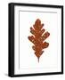 Foliage Fun I-Laura Marshall-Framed Art Print