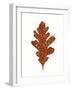 Foliage Fun I-Laura Marshall-Framed Art Print