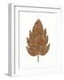 Foliage Fun II-Laura Marshall-Framed Art Print