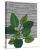 Foliage Grid-Kristine Hegre-Stretched Canvas