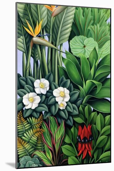 Foliage II, 2005-Catherine Abel-Mounted Giclee Print