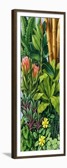 Foliage III, 2005-Catherine Abel-Framed Giclee Print