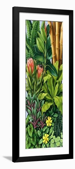 Foliage III, 2005-Catherine Abel-Framed Giclee Print