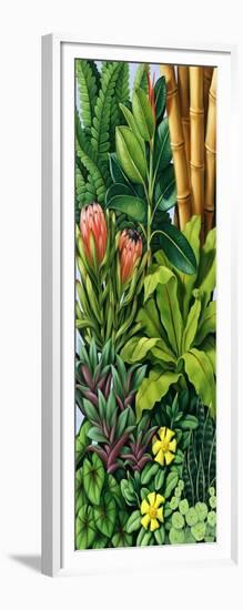 Foliage III, 2005-Catherine Abel-Framed Giclee Print