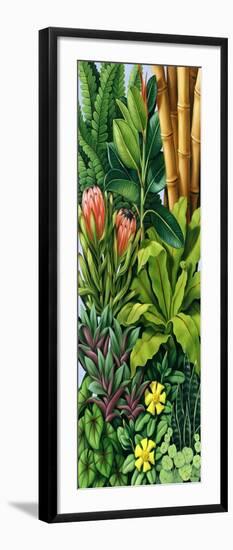 Foliage III, 2005-Catherine Abel-Framed Giclee Print