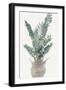 Foliage in Woven Pot 1-Stellar Design Studio-Framed Art Print