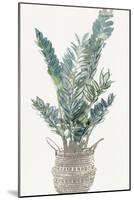 Foliage in Woven Pot 1-Stellar Design Studio-Mounted Art Print