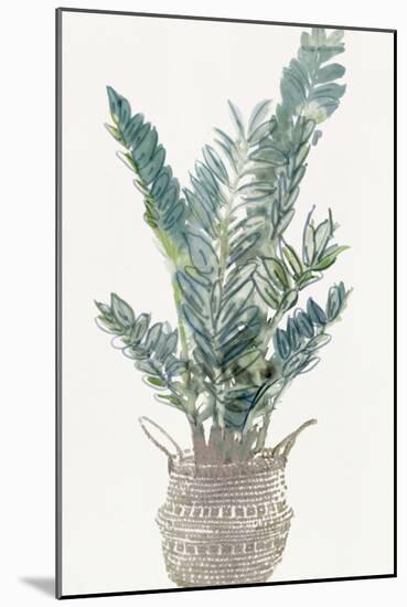 Foliage in Woven Pot 1-Stellar Design Studio-Mounted Art Print