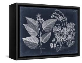 Foliage on Navy III-null-Framed Stretched Canvas