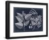 Foliage on Navy III-null-Framed Art Print