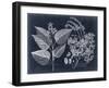 Foliage on Navy III-null-Framed Art Print