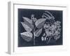 Foliage on Navy III-null-Framed Art Print