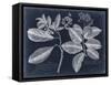 Foliage on Navy IV-null-Framed Stretched Canvas