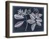 Foliage on Navy IV-null-Framed Art Print