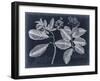 Foliage on Navy IV-null-Framed Art Print