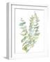 Foliage Spray - Climb-Sandra Jacobs-Framed Giclee Print