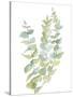 Foliage Spray - Climb-Sandra Jacobs-Stretched Canvas