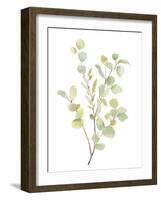 Foliage Spray - Grow-Sandra Jacobs-Framed Giclee Print