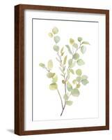 Foliage Spray - Grow-Sandra Jacobs-Framed Giclee Print