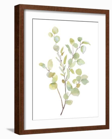 Foliage Spray - Grow-Sandra Jacobs-Framed Giclee Print