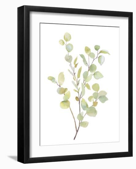 Foliage Spray - Grow-Sandra Jacobs-Framed Giclee Print