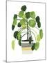 Foliage Verde-Kristine Hegre-Mounted Giclee Print