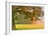 Foliage-Viviane Fedieu Daniel-Framed Photographic Print