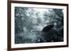 Foliage-Mark Ashkenazi-Framed Giclee Print