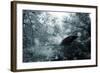 Foliage-Mark Ashkenazi-Framed Giclee Print