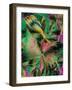 Folic Acid Crystals-PASIEKA-Framed Photographic Print