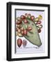 Folium Opuntia from Hortus Eystettensis by Basil Besler-null-Framed Giclee Print