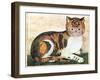 Folk Art: Cat-George White-Framed Giclee Print