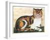 Folk Art: Cat-George White-Framed Giclee Print