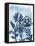 Folk Flower 2-Allen Kimberly-Framed Stretched Canvas