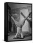 Folk Singer John Jacob Niles Performing Elbow-Standing Exercise, Adapted from Yoga, to Relax-null-Framed Stretched Canvas