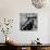 Folk Singer Woody Guthrie in Nyc-null-Premium Photographic Print displayed on a wall