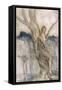 Folklore, Dryads-Arthur Rackham-Framed Stretched Canvas